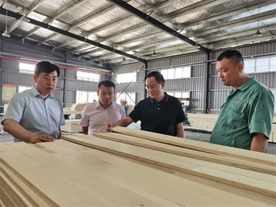 攜手共進，共筑未來——熱烈歡迎中國木材保護工業協會會長劉能文一行蒞臨福慶參觀考察指導